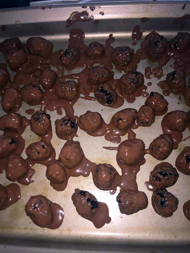 Plant Based Healthy Living | Cocoa Covered Boysenberries